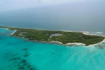 Tour_Isla Contoy_Isla Pajaros